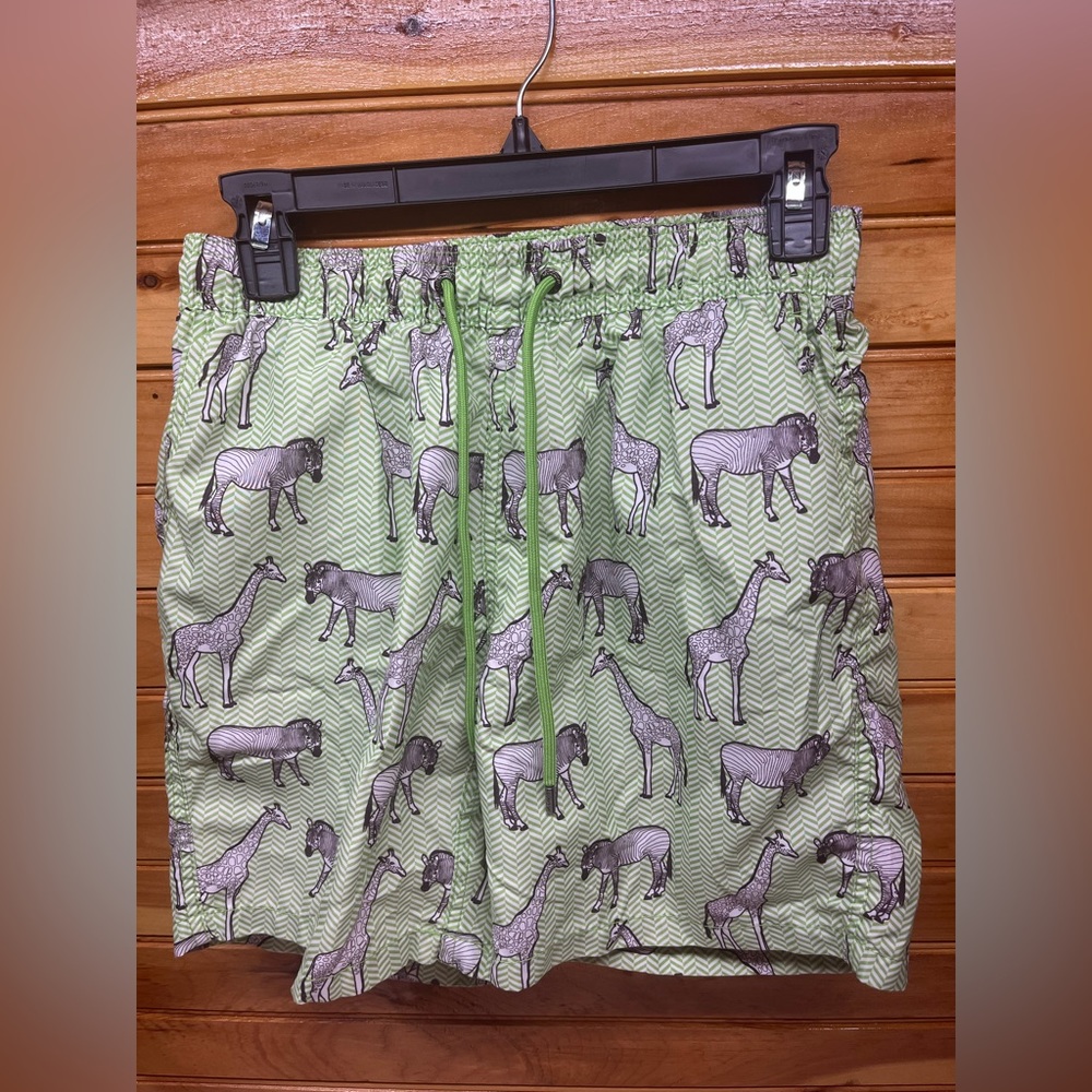 Mr Swim trunks with zebra and giraffes